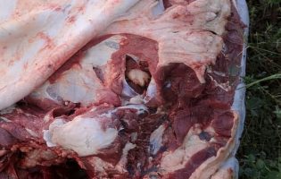 Crime brutal na zona rural de Brumado acende alerta para insegurança no campo