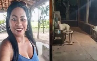 Mulher morre atacada pelo próprio pitbull ao dar banho no animal