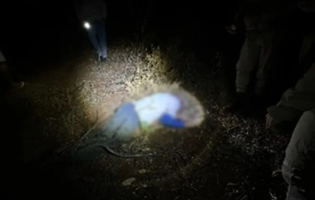Idoso de 86 anos morre após ataque de abelhas na zona rural de Guanambi