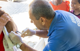 Prefeitura de Livramento realiza ação de vacinação antirrábica para cães e gatos