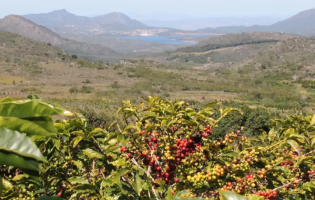 Jovem produtora de Rio de Contas destaca oportunidades para a juventude no campo