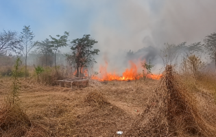 Incêndio em vegetação causa preocupação no bairro Belo Horizonte, em Livramento
