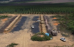 Operação identifica 205 hectares de desmatamento ilegal na Bahia