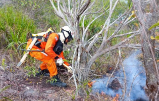 Bombeiros seguem no combate a incêndios florestais em Muquém do São Francisco e Luís Eduardo Magalhães