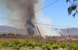 Incêndio de grandes proporções atinge vegetação na zona rural de Dom Basílio e mobiliza equipes de combate