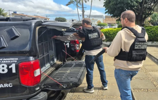 Foragido condenado por homicídio em São Paulo é preso em Vitória da Conquista